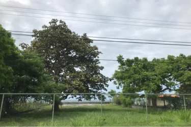 Aerial of coastal beachfront land lots ocean buildings greenery Playa Malibú Nueva Gorgona Panama