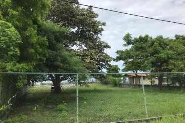 Fenced beachfront lot mature trees grass and ocean horizon Nueva Gorgona Panama