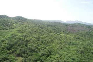 Land for Sale in La Yeguada - 0 bedrooms