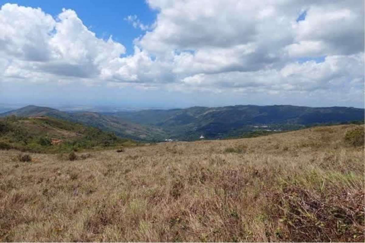 2,410m² Forested Mountain Land Altos de Pacora Panama