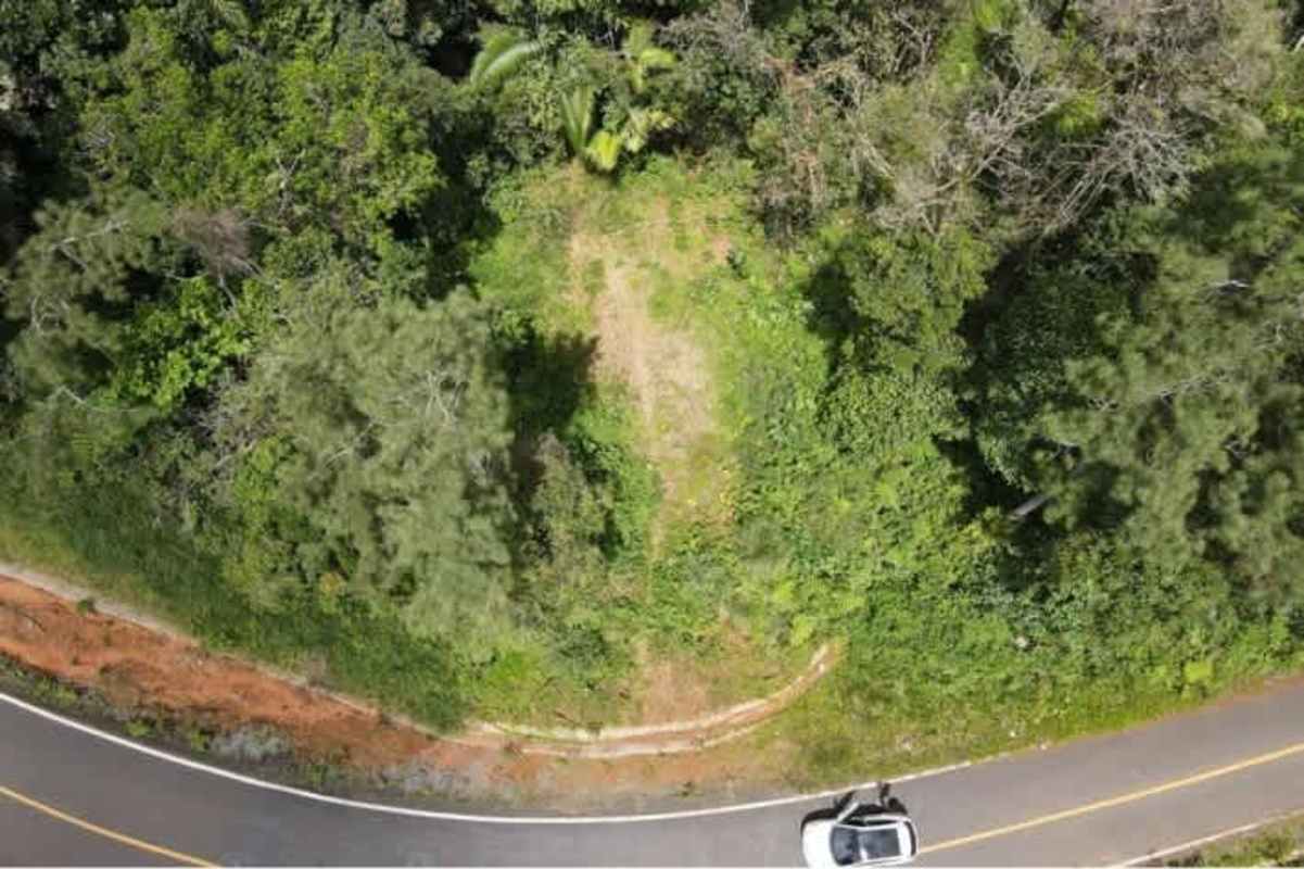 Dense forest land with road and small cleared patch near Cerro Azul Panama