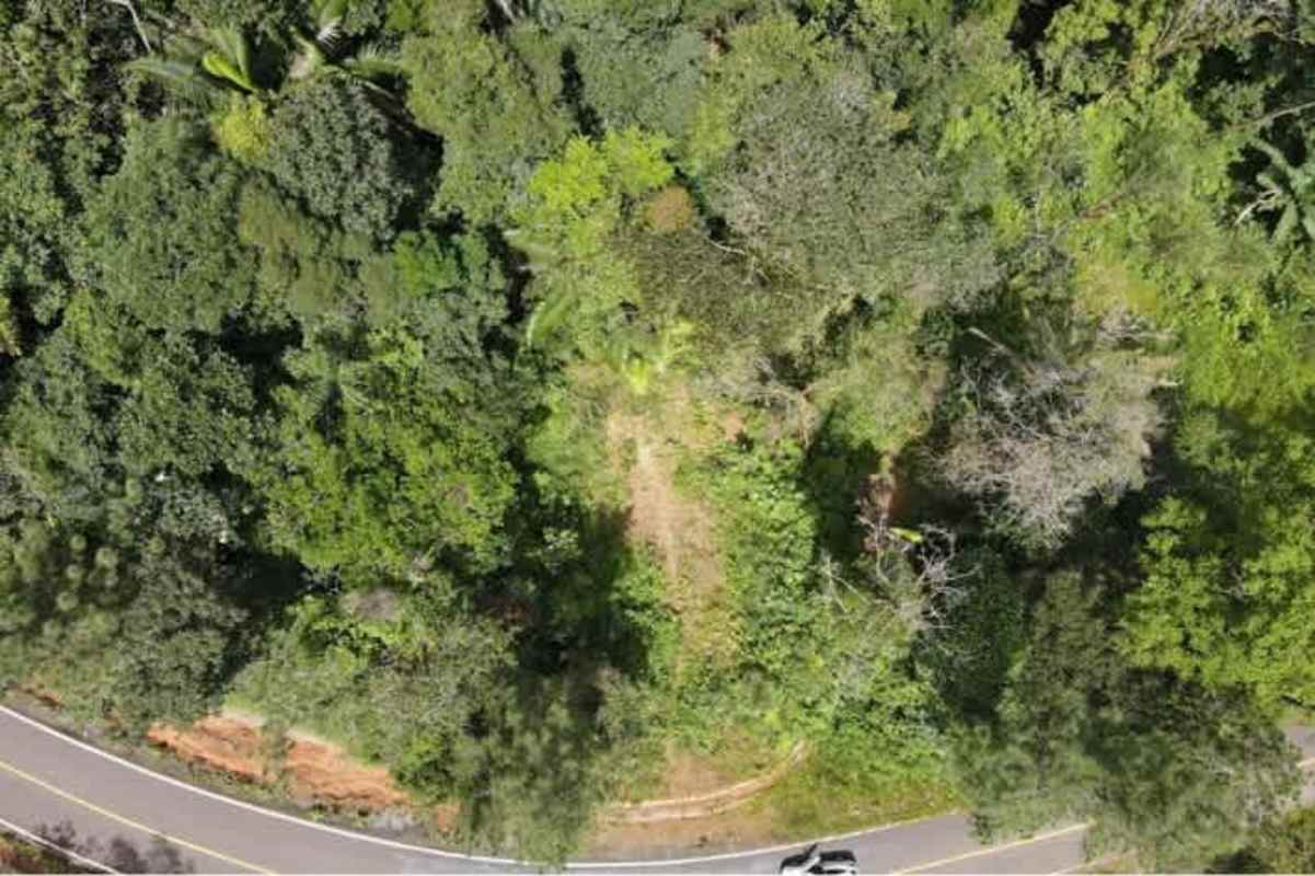 Forest-covered lot with paved curved road and clearing, mountain land in Panama for sale