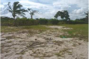 Open sandy land with palm trees and shoreline in Punta Chame Panama