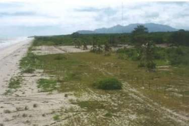 Aerial drone image of pristine Pacific beach with adjacent development land in Punta Chame