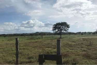 Open countryside view with fence bordering the 15.4-hectare lot in Chitré Herrera