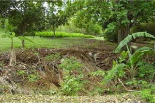 Land for Sale in Antón - 0 bedrooms