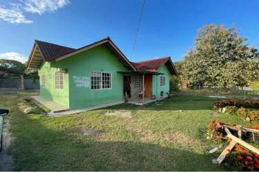 Single story green house with brown roof fenced lawn Panama