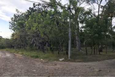 Flat corner plot with utilities and dirt road access near Nueva Gorgona residential area
