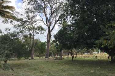 Open vacant lot with mature trees great for building close to Gorgona Beach