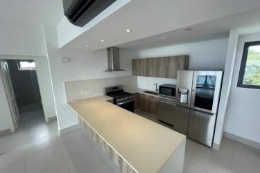 Open kitchen with island stainless appliances PH Solaria Punta Caelo Panama
