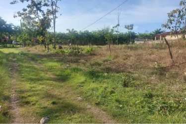 Vacant corner lot with dirt road access fence greenery residential nearby Nueva Gorgona Panama