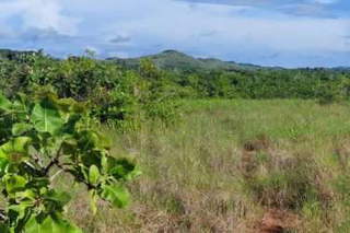 Land for Sale in Los Pozos - 0 bedrooms