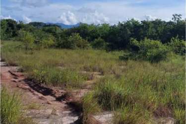 Large green land with brush and trees ideal for farming or project Cocle Panama