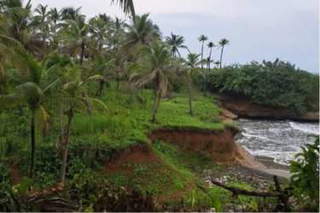 Land for Sale in Santa Isabel (Costa Arriba) - 0 bedrooms