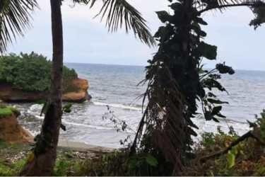 View of tropical beach coastline with palm trees and blue ocean waves hitting the shore Colon Panama