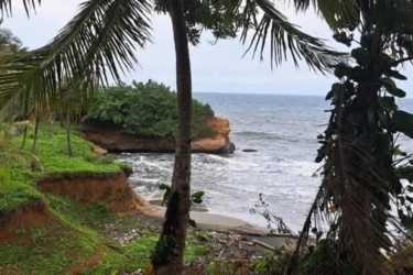 Tropical beachfront with rocky coastline and lush vegetation Palmas Bellas Colon Panama
