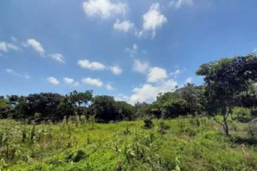 Beachfront Land Plot for Sale in Gobea Donoso Colón Panama - View 5