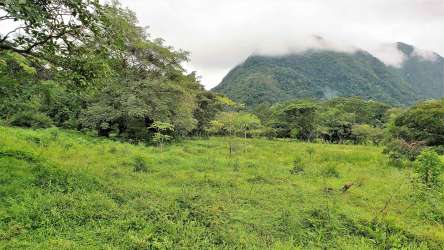 Vacant land for sale with lush greenery and mature trees in El Valle de Antón, Panama