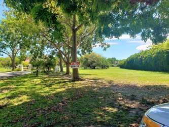 Sunny green land lot surrounded by palm trees and resort amenities at Buenaventura Panama