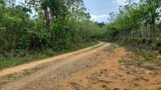 Agricultural Land for Sale in Pesé - 0 bedrooms