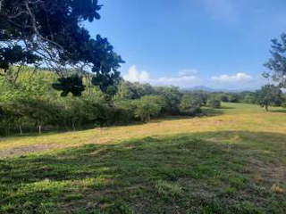 Land for Sale in Penonomé - 0 bedrooms