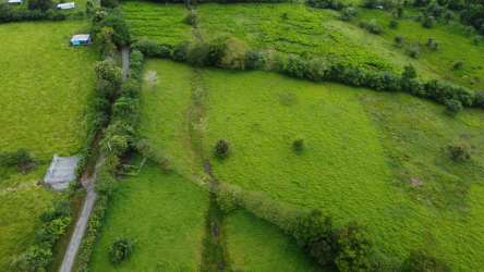 Open green pasture ideal for cattle and farming in Boquerón Chiriquí