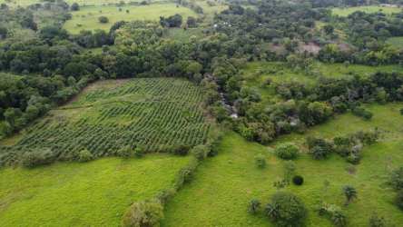Natural Río Chico river flowing next to fertile farmland Boquerón Chiriquí