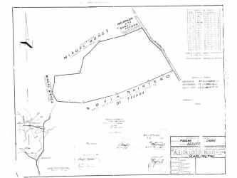 Property survey plan showing boundaries of African mahogany plantation in Bejuco Panama