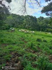 Farmland / Ranch land for Sale in Toabré - 1 bedroom