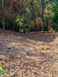 Vacant plot surrounded by mountain trees and greenery in Granada Altos del María Panama