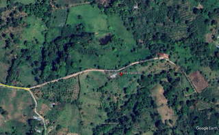 Commercial Farm / Agricultural Land for Sale in Renacimiento - 7 bedrooms
