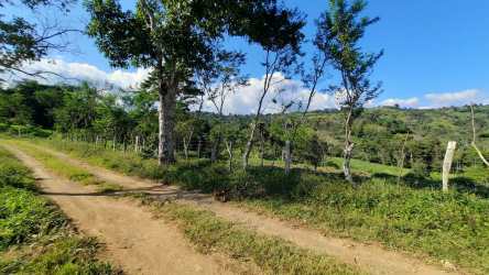 Rural dirt road lined with fencing and trees providing access to commercial farm in Renacimiento Chiriquí Panama
