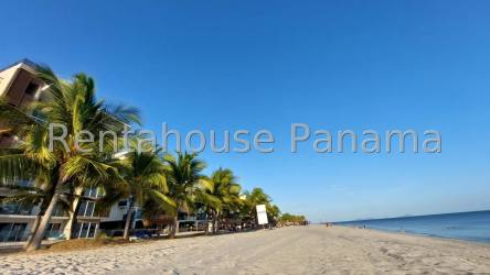 Beachfront 2BR Condo with Large Terrace in Playa Caracol