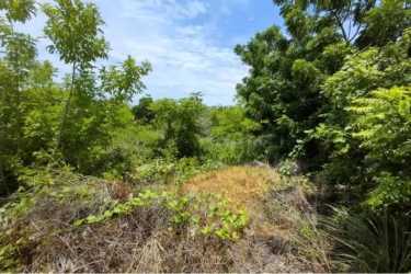 Vacant overgrown beach lot for sale in Punta Chame Panama