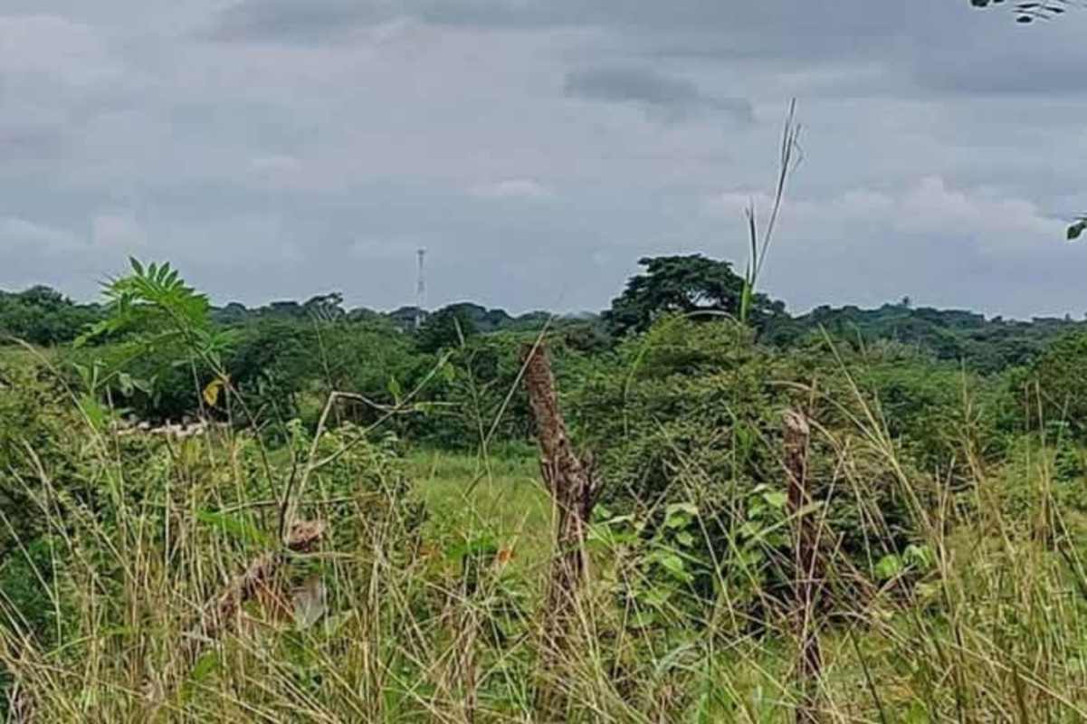 Green flat lot in Pacora Panama, suitable for affordable housing development with countryside views