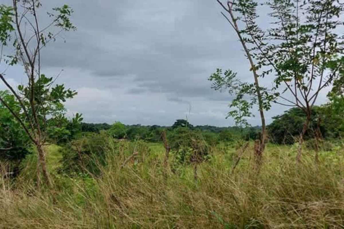 View of natural green land plot Pacora area east Panama for residential development