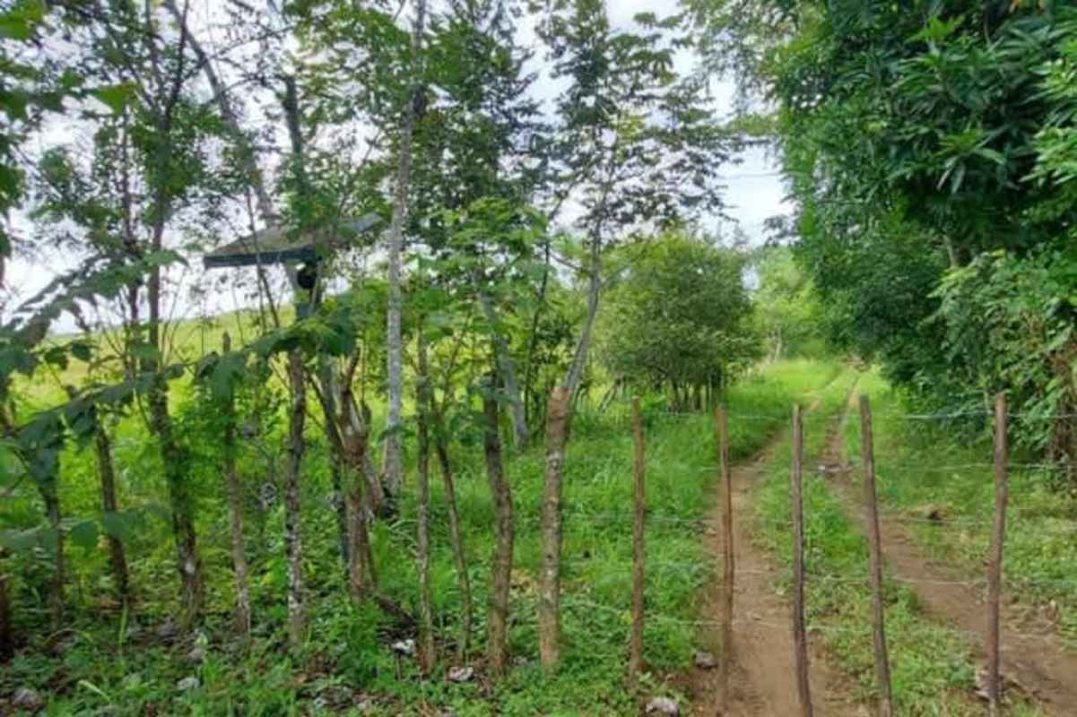 Dirt road and fence line bordering residential development land in Pacora Panama East zone