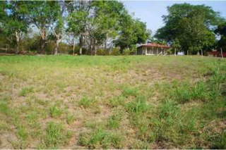Land for Sale in Las Uvas - 0 bedrooms
