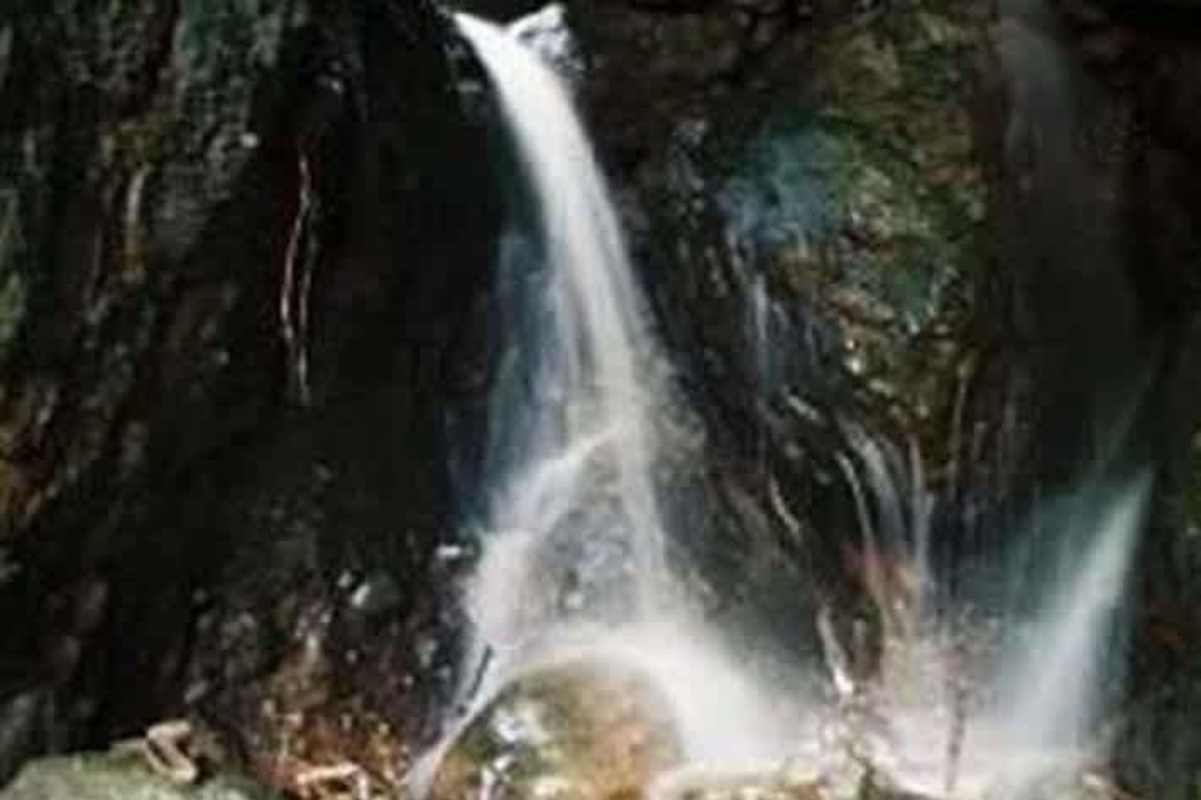 Dense tropical forest landscape with ocean views private Panama island