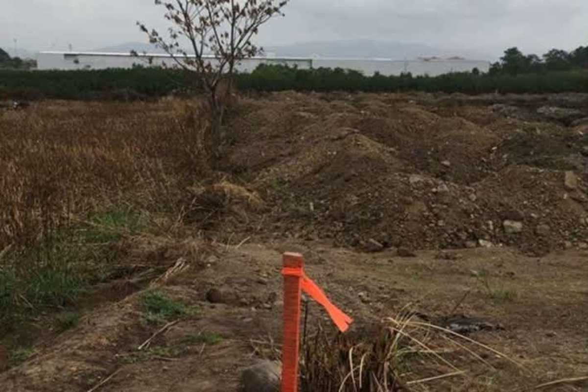 Vacant land plot featuring single tree and survey markers in Costa Sur Panama