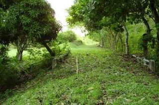 Land for Sale in Antón - 0 bedrooms