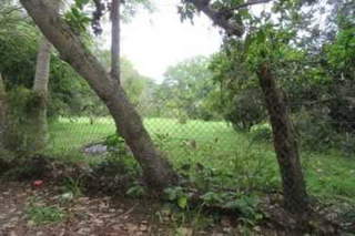 Land for Sale in San Carlos / Antón - 0 bedrooms