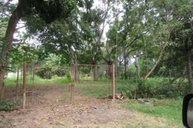 Wooded gated entrance of vacant residential beach lot in Santa Clara investment opportunity Panama