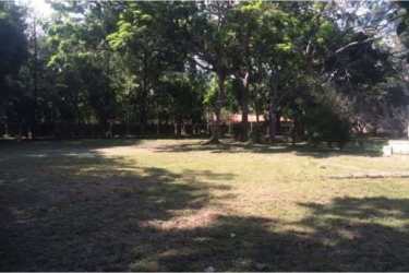 Spacious grassy lot with mature trees and partial fencing ideal for beach home in Santa Clara Panama