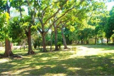 Spacious backyard area with mature trees and grass ideal for beach home construction Santa Clara Panama