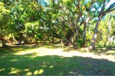 Backyard shaded by large mature trees with open yard space in Santa Clara Panama land for sale