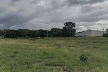 Large flat lot next to industrial facilities and main roads in Herrera Panama