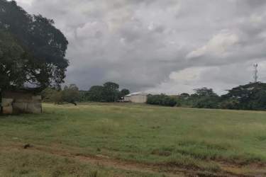 Large open field beside brewery and university in Chitré Panama development land