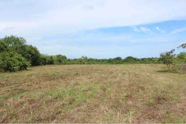 Open field with tree perimeter under sunny sky near Playa Blanca Panama