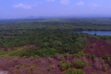 Coastal and mangrove shoreline with sandy beaches and blue water on 150 hectare island peninsula for sale Panama